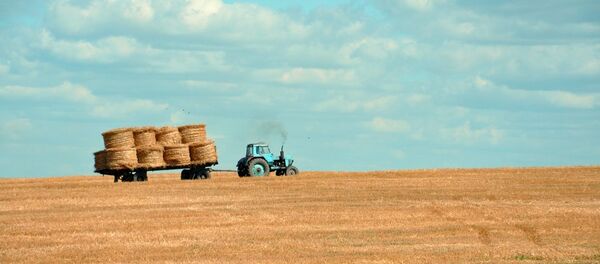 Трактор на поле собирает пшеницу Трактор на поле собирает пшеницу - Sputnik Литва