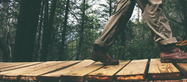 Шагающий в лесу - Sputnik Литва