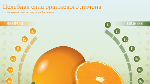 Целебная сила оранжевого лимона - Sputnik Литва