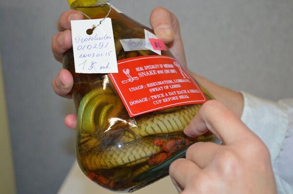 Конфискованные литовскими таможенниками змеи Конфискованные литовскими таможенниками змеи - Sputnik Lietuva