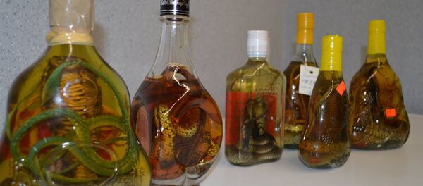 Конфискованные литовскими таможенниками змеи Конфискованные литовскими таможенниками змеи - Sputnik Lietuva