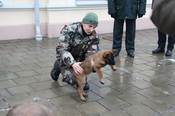 Ramzio istorija jaudina širdis: pilietė padovanojo pasieniečiams šunį Ramzio istorija jaudina širdis: pilietė padovanojo pasieniečiams šunį - Sputnik Lietuva