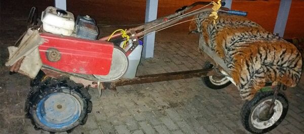 Транспортное средство Транспортное средство - Sputnik Lietuva