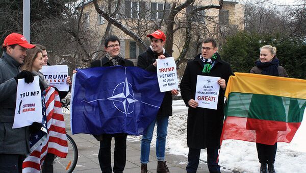 Пикетчики с плакатами и флагами Литвы, НАТО и США - Sputnik Lietuva