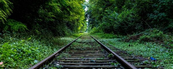 Рельсы в лесу - Sputnik Литва