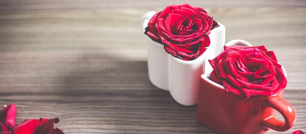 Цветы в кружках Цветы в кружках - Sputnik Lietuva