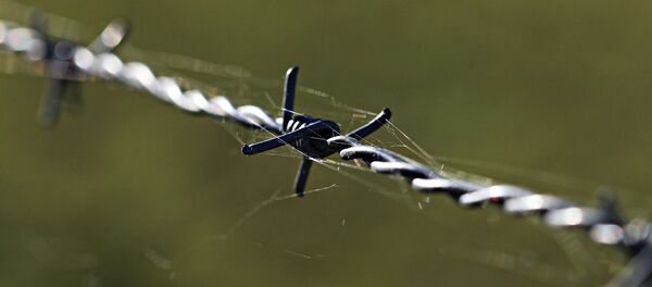 Колючая проволока - Sputnik Литва