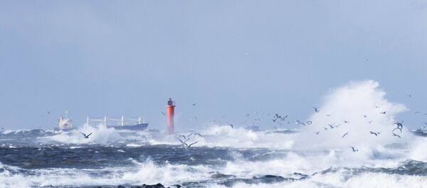 Латвийское побережье Латвийское побережье - Sputnik Lietuva