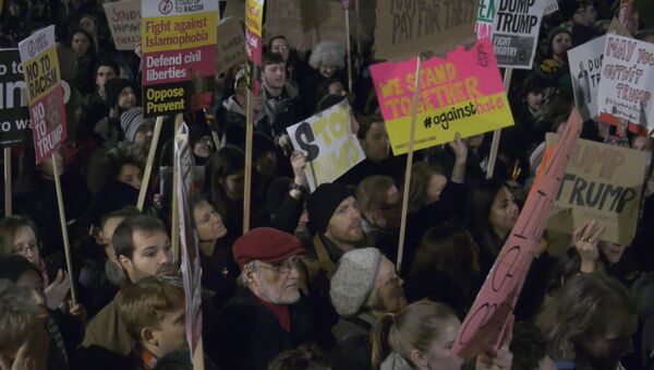 Протесты в Лондоне против миграционного указа Трампа - Sputnik Lietuva