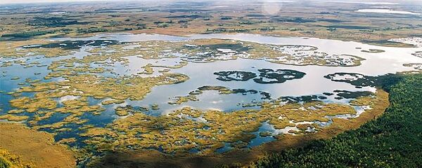 Биосферный заповедник Жувинтас - Sputnik Литва