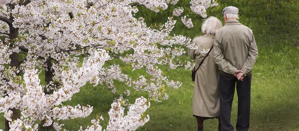 Цветение сакур в Вильнюсском парке - Sputnik Литва