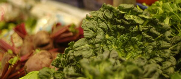 Parduotuvė Parduotuvė - Sputnik Lietuva