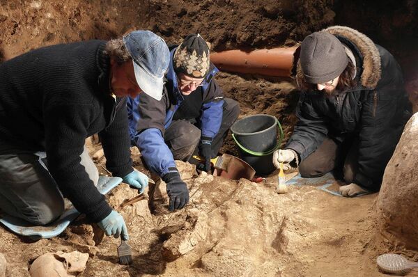 Археологи на горе Гедиминаса Археологи на горе Гедиминаса - Sputnik Lietuva