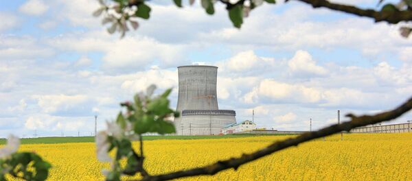 Стройка БелАЭС - Sputnik Литва