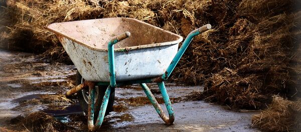 Тележка и навоз Тележка и навоз - Sputnik Литва