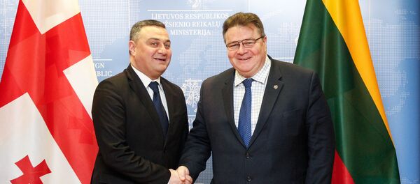 Линас Линквичюс и грузинский министр европейской и евроатлантической интеграции Виктор Далидзе - Sputnik Литва