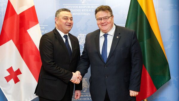 Линас Линквичюс и грузинский министр европейской и евроатлантической интеграции Виктор Далидзе - Sputnik Литва