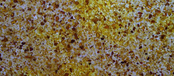 Янтарь Янтарь - Sputnik Lietuva