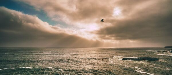 Море - Sputnik Литва