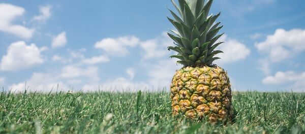 Анананасик Анананасик - Sputnik Lietuva