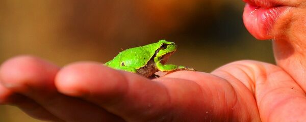 Поцелуй для лягушки Поцелуй для лягушки - Sputnik Литва