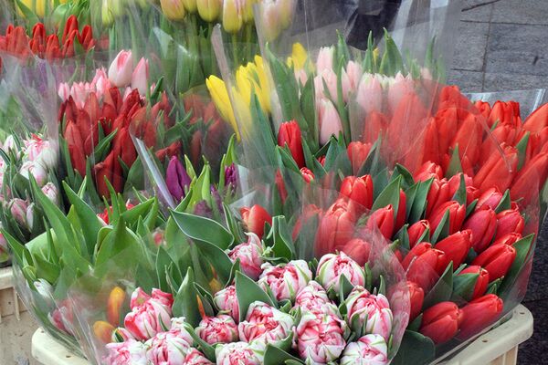 Букеты тюльпанов упакованы и ожидают свою хозяйку - Sputnik Литва