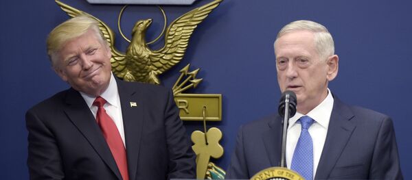 Глава Минобороны США Джеймс Мэттис - Sputnik Литва