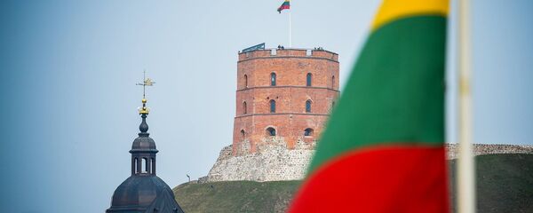 Башня Гедыминаса виднеется из Президентского дворца Башня Гедыминаса виднеется из Президентского дворца - Sputnik Литва