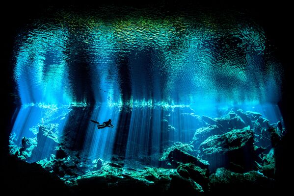 Фотография британского фотографа Nick Blake Out of the Blue, победитель конкурса British Underwater Photographer of the Year, 2017 - Sputnik Литва