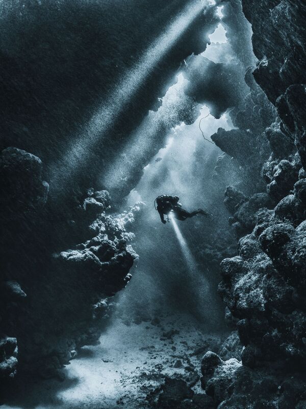 Фотография великобританского фотографа Mario Vitalini Sun shine after the storm, оцененная жюри в категории Wide Angle конкурса Underwater Photographer of the Year 2017 - Sputnik Литва