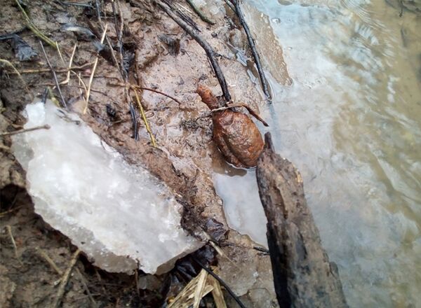 Недалеко от границы с Россией обнаружены граната и мина военных времен Недалеко от границы с Россией обнаружены граната и мина военных времен - Sputnik Lietuva