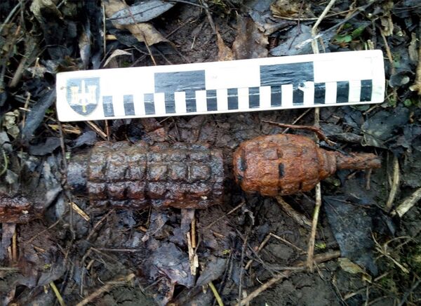 Недалеко от границы с Россией обнаружены граната и мина военных времен Недалеко от границы с Россией обнаружены граната и мина военных времен - Sputnik Литва