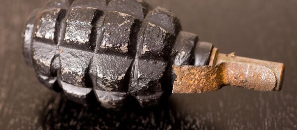 Граната - Sputnik Литва