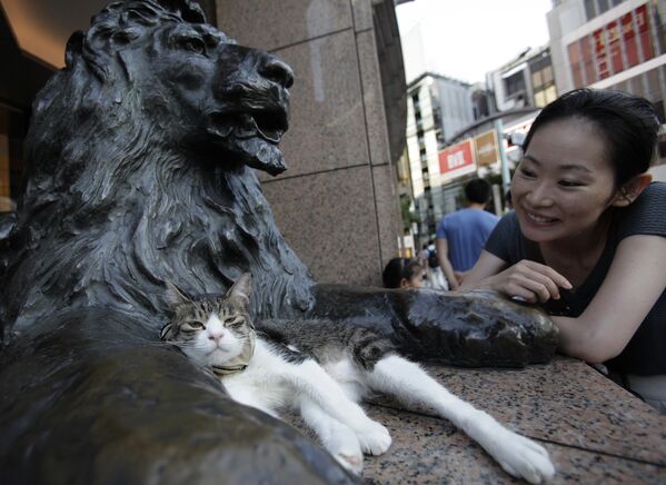Кот в ногах статуи льва в торговом районе Токио Гинза. - Sputnik Lietuva