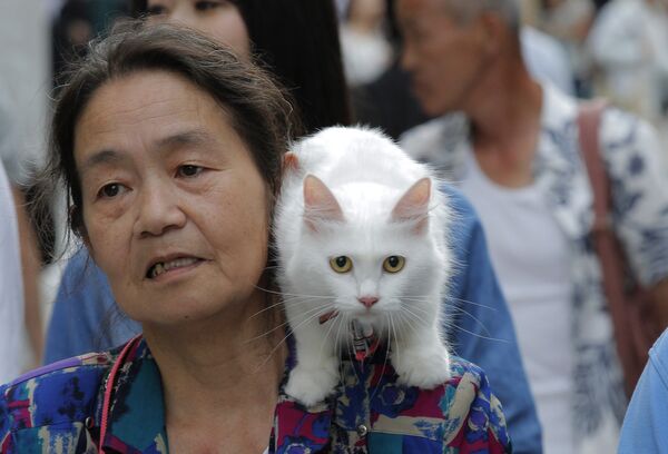Японская женщина со своим котом на плече - Sputnik Lietuva