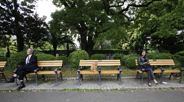 Отдых под деревьями в токийском парке - Sputnik Lietuva