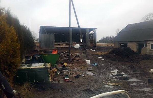 Сарай для содержания животных - Sputnik Литва