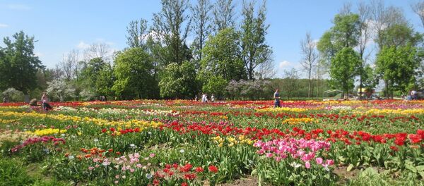 Праздник цветения тюльпанов - Sputnik Lietuva