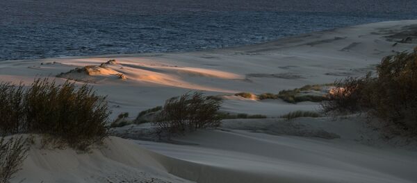 Национальный парк Куршская коса в Калининградской области - Sputnik Литва