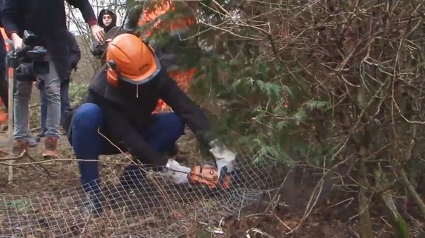 Вильнюсский мэр взял бензопилу - Sputnik Литва