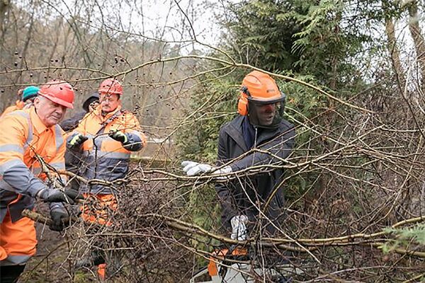 Рабочие расчищают кусты - Sputnik Литва