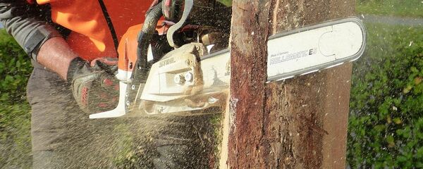 Бензопила Бензопила - Sputnik Литва