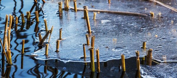 Подтаявший лед на озере Подтаявший лед на озере - Sputnik Lietuva