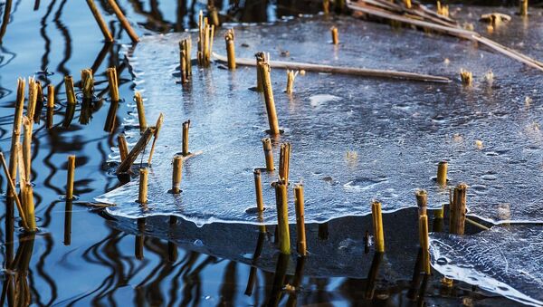 Подтаявший лед на озере - Sputnik Литва