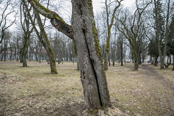 Парк Сапегов в Вильнюсе - Sputnik Литва