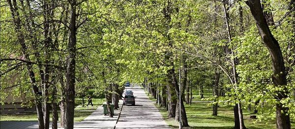 Парк дворца Сапегов Парк дворца Сапегов - Sputnik Lietuva