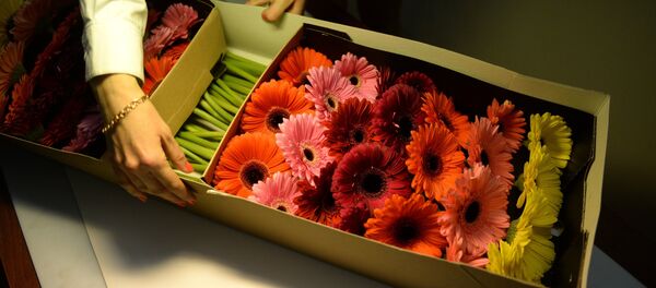 Доставка цветов из Голландии к 8 марта Доставка цветов из Голландии к 8 марта - Sputnik Lietuva