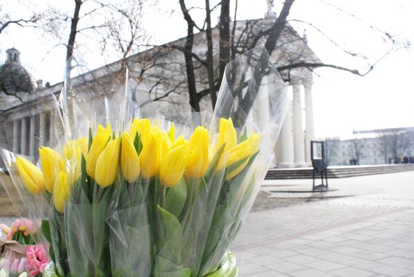 Желтые тюльпаны на фоне Кафедрального собора - Sputnik Литва