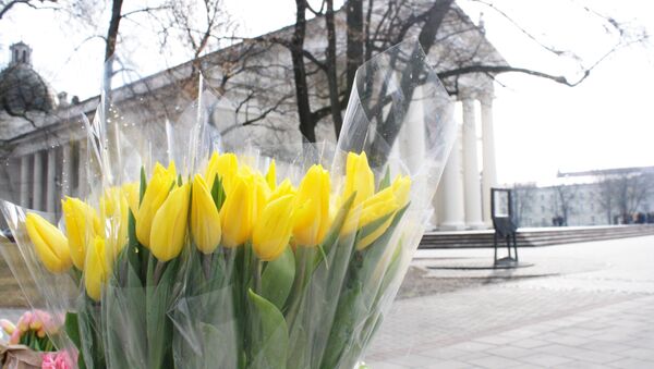 Желтые тюльпаны на фоне Кафедрального собора - Sputnik Литва