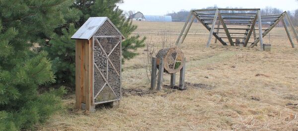 Гостиница для жуков в региональном парке Жагаре Гостиница для жуков в региональном парке Жагаре - Sputnik Lietuva